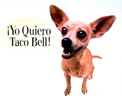 taco bell dog. Gidget, former Taco Bell dog,